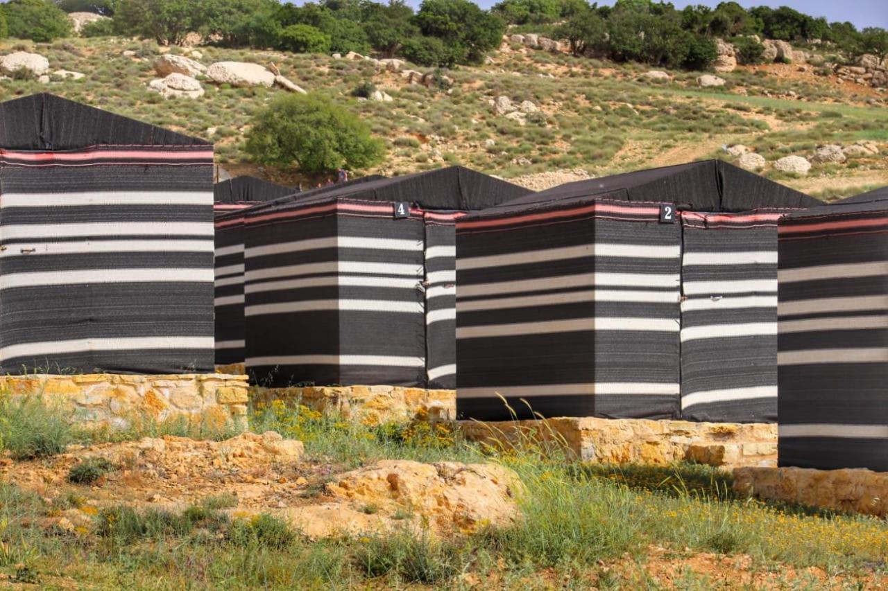 Ein Lahda Camp-Site Hotell Dana Eksteriør bilde